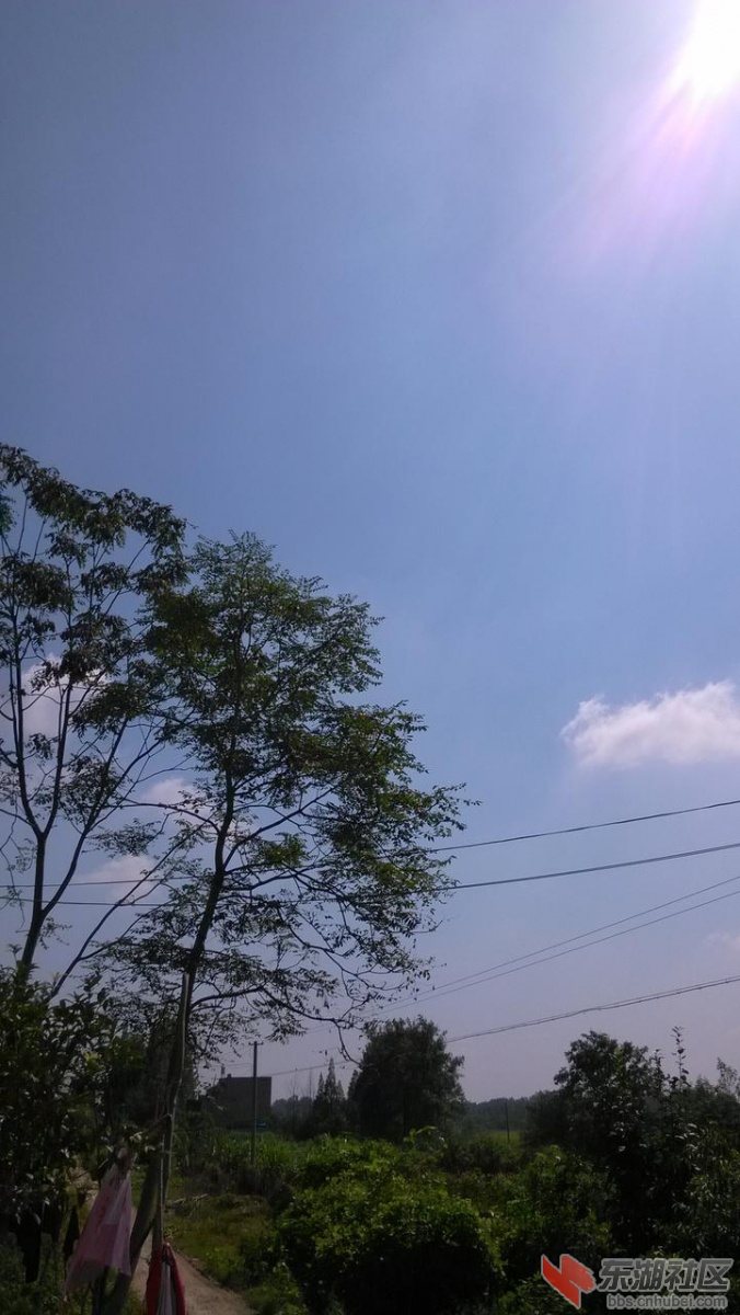 cbe22ff57a0e96c601527e5f8afd679f547d45ee.jpg