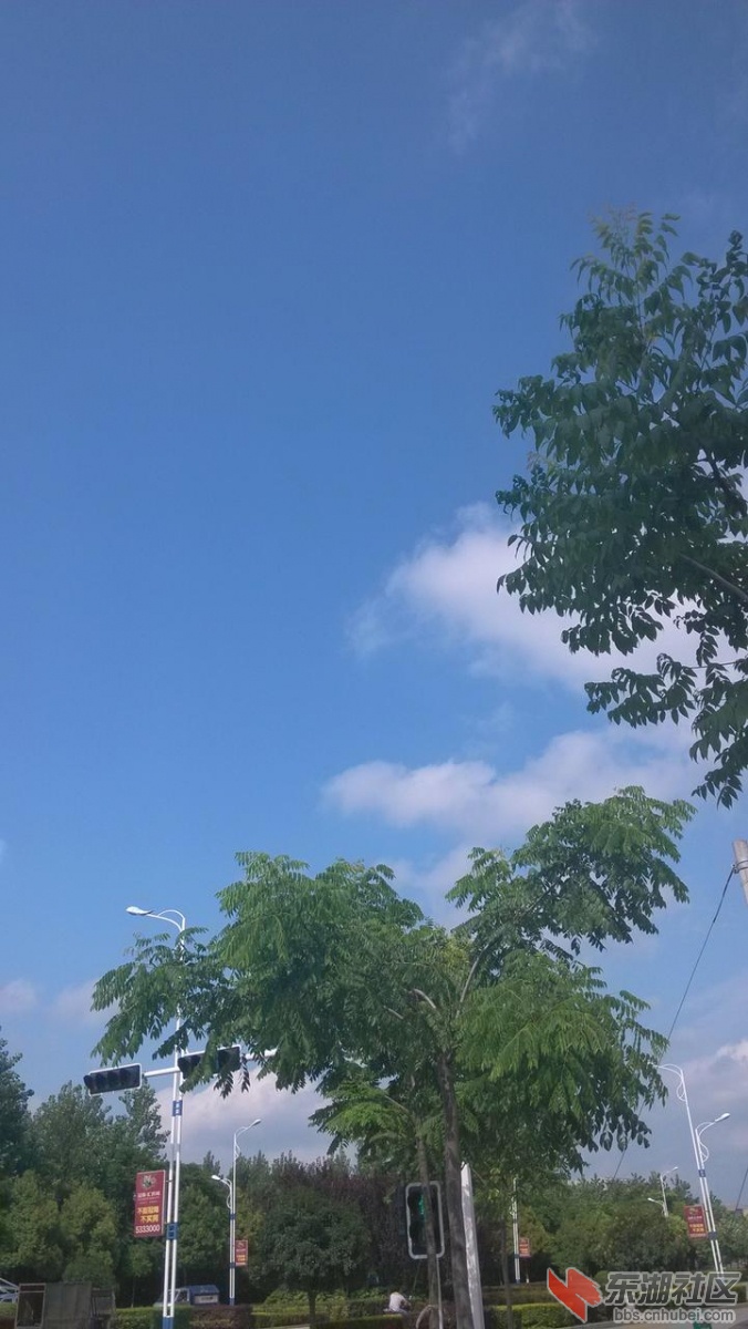 ce4863bf06b6bdb8f011d7ba959c307b8731f102.jpg