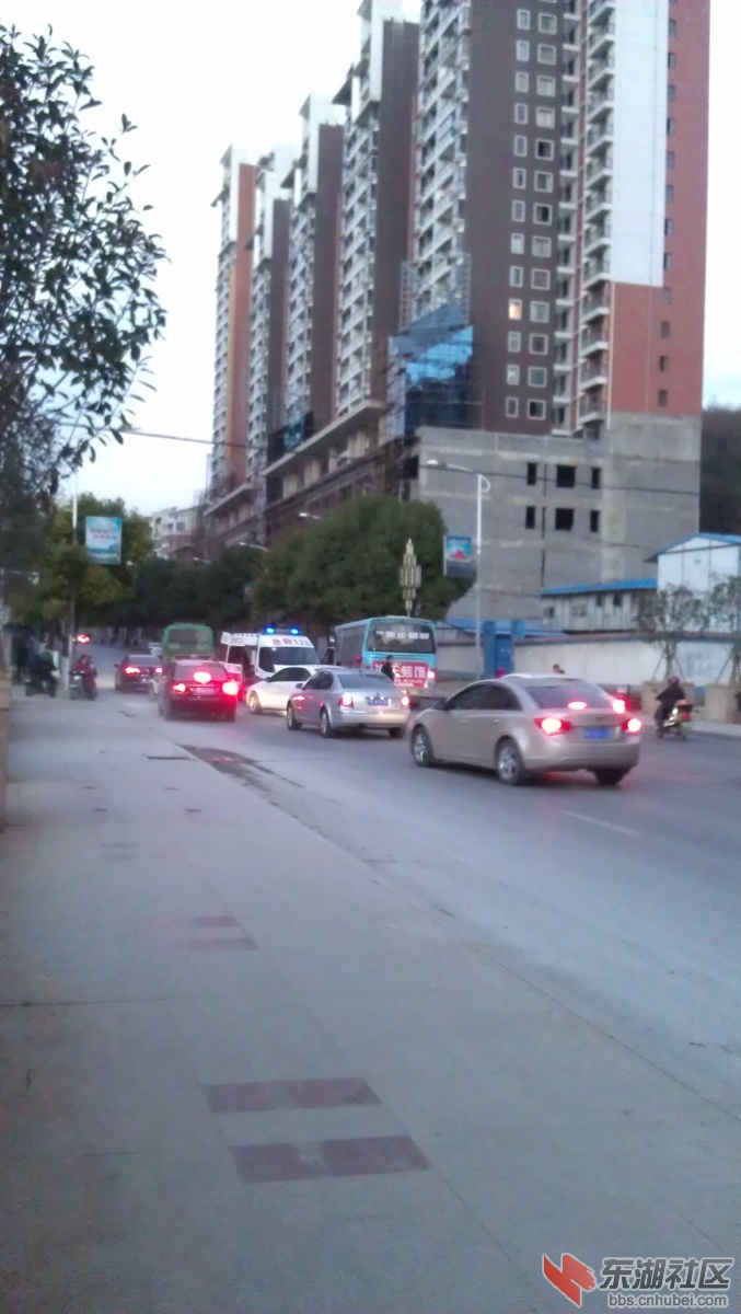 IMAG1012.jpg
