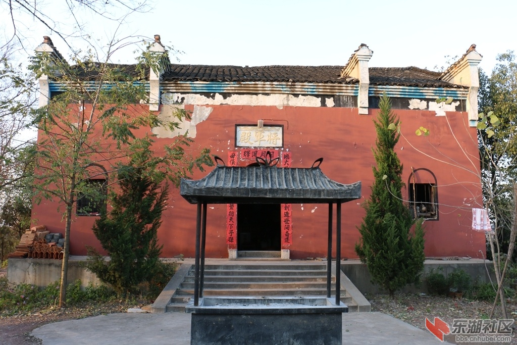 19.jpg