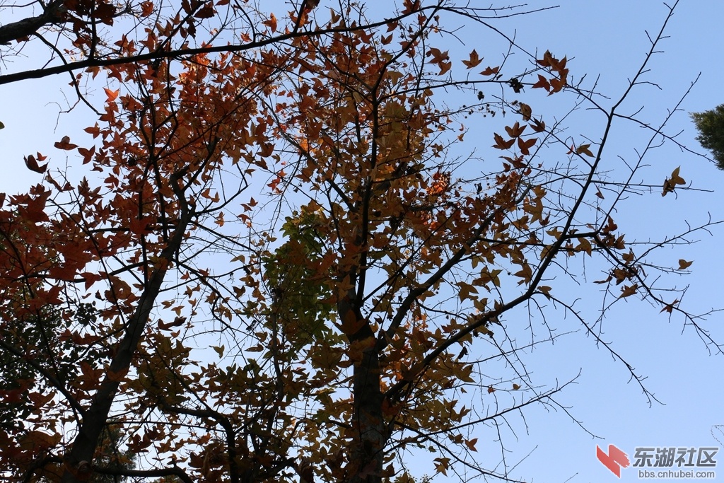 06.jpg