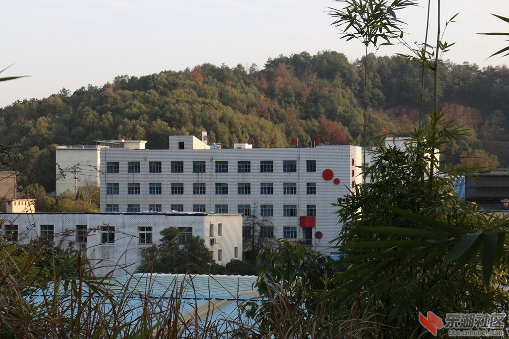 04.jpg