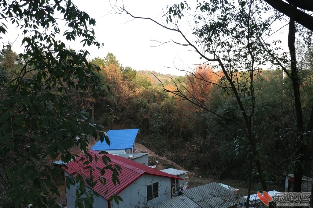 07.jpg
