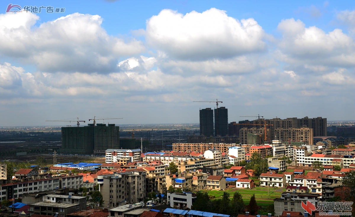 荣城楼顶鸟看小池 (1).jpg