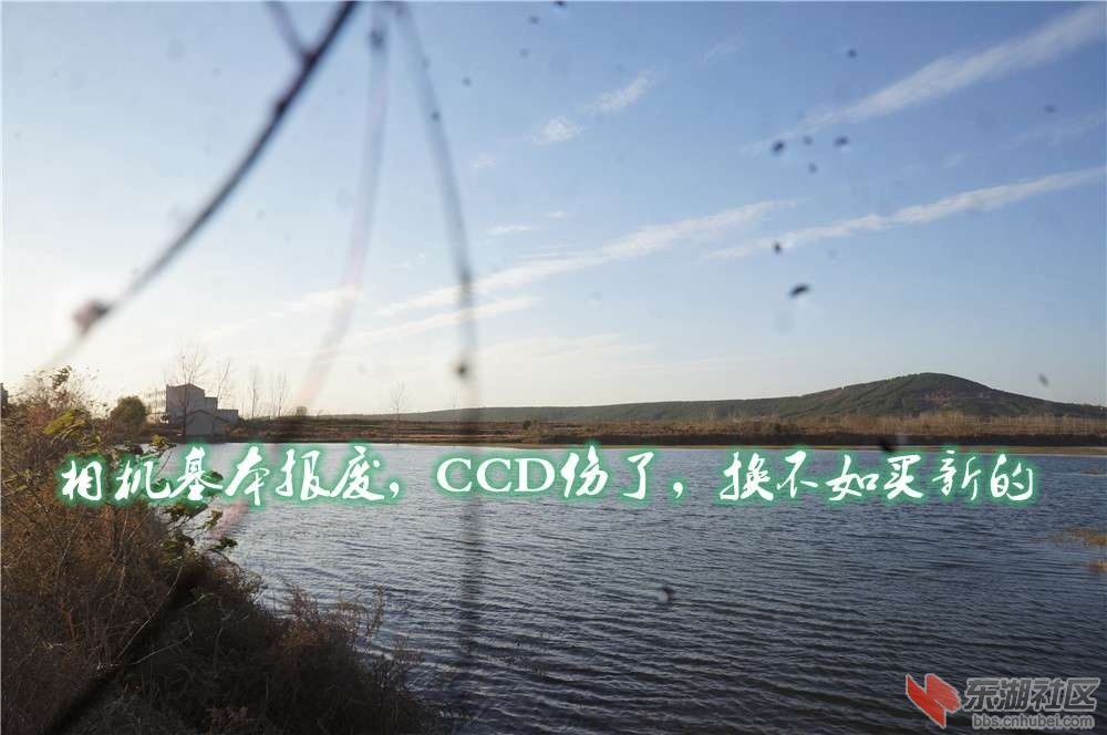 炸机06.jpg