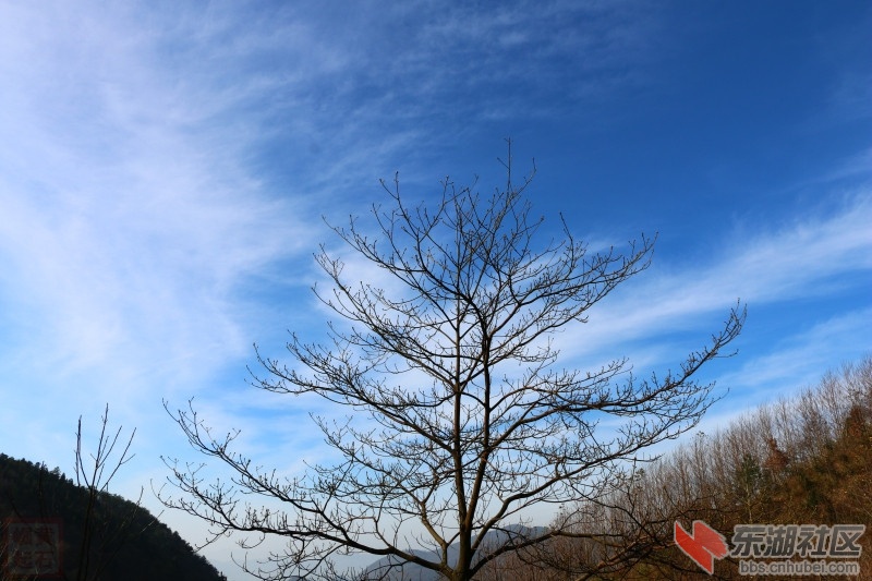 IMG_5675.jpg