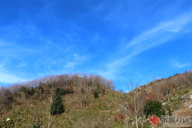 IMG_5674.jpg