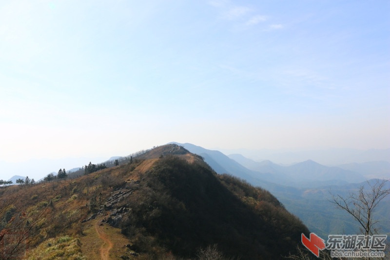 IMG_5769.jpg