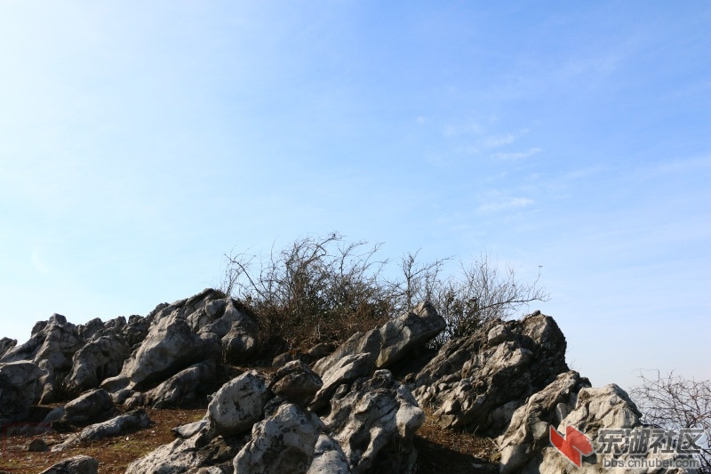 IMG_5765.jpg