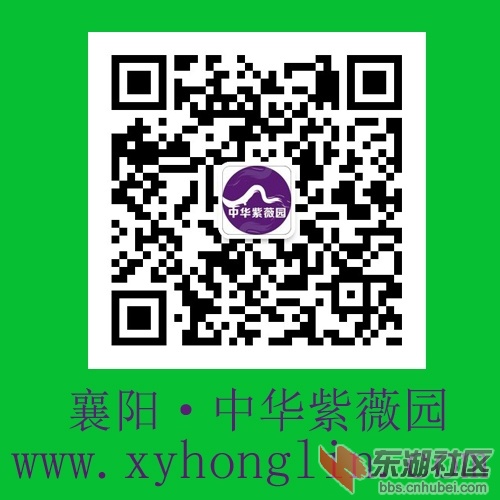 襄阳中华紫薇园1.jpg