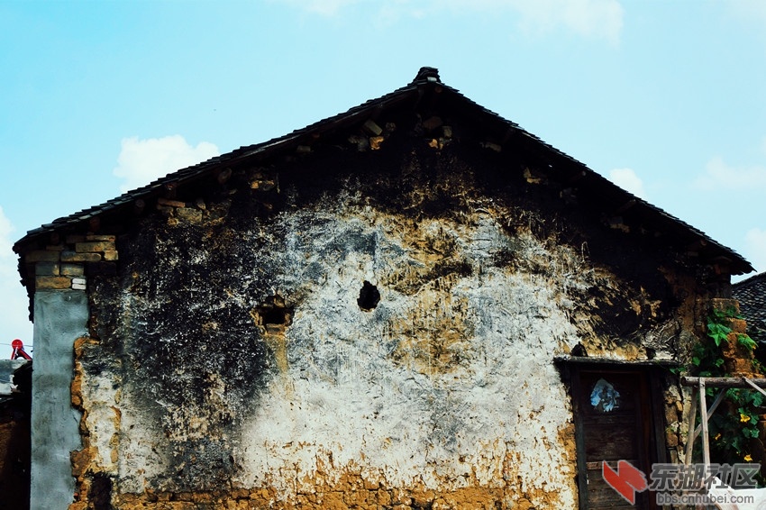 DSC05020_.jpg