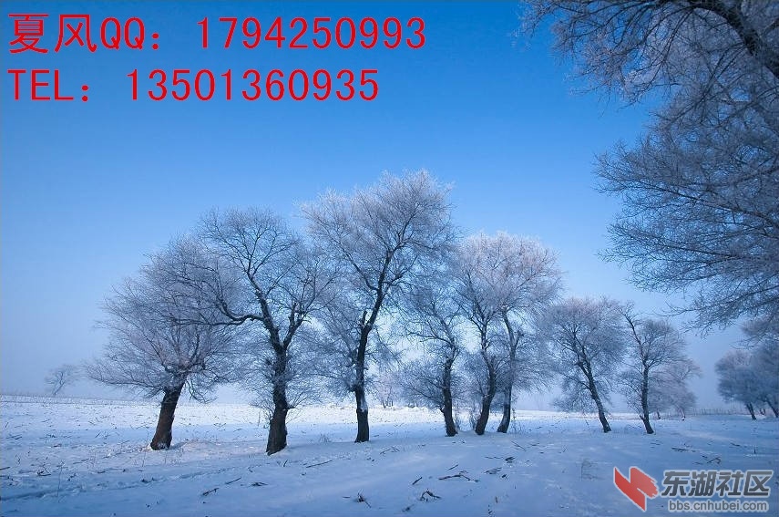 X2[~5RRN89~ROKZIT8U}@D.jpg