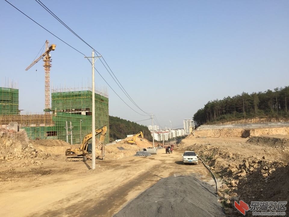 QQ图片20141218083336.jpg