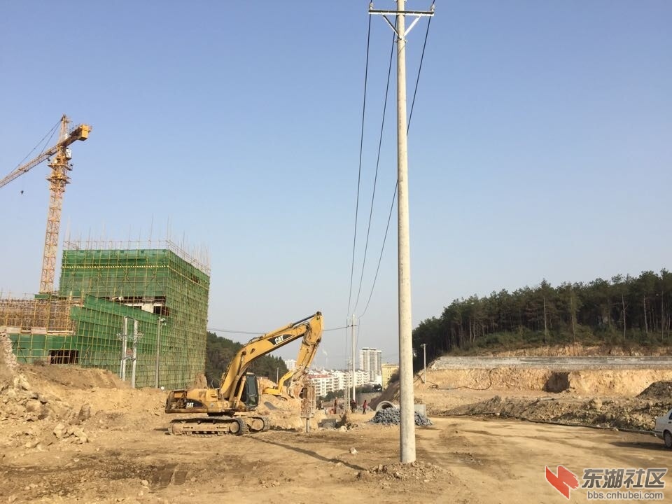 QQ图片20141218083331.jpg