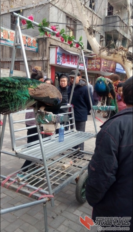 QQ图片20141218115648.jpg