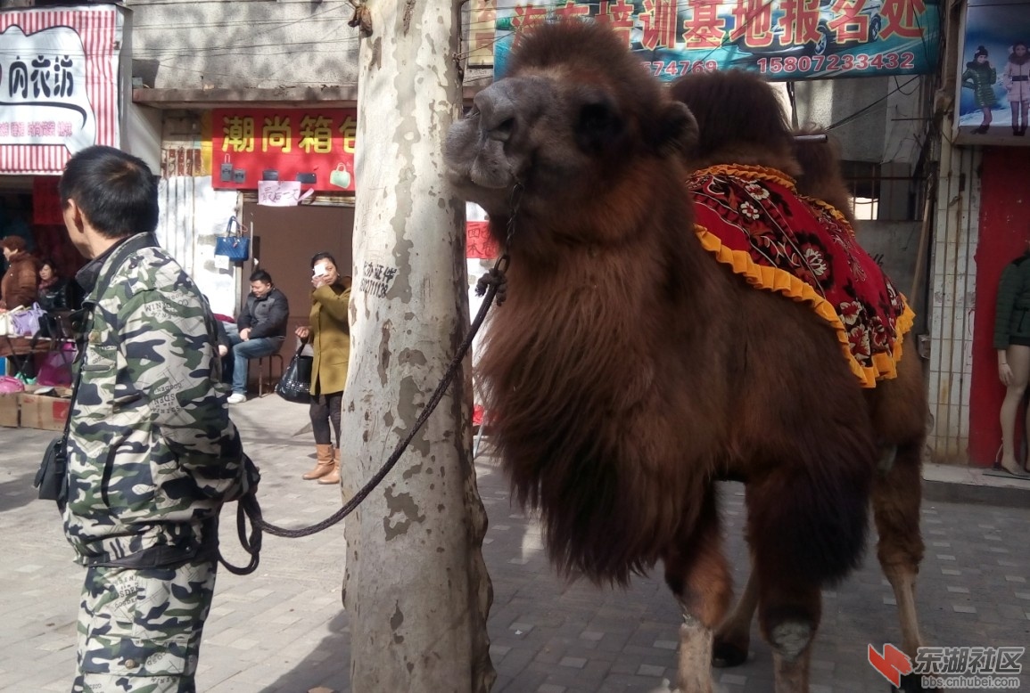 QQ图片20141218115750.jpg