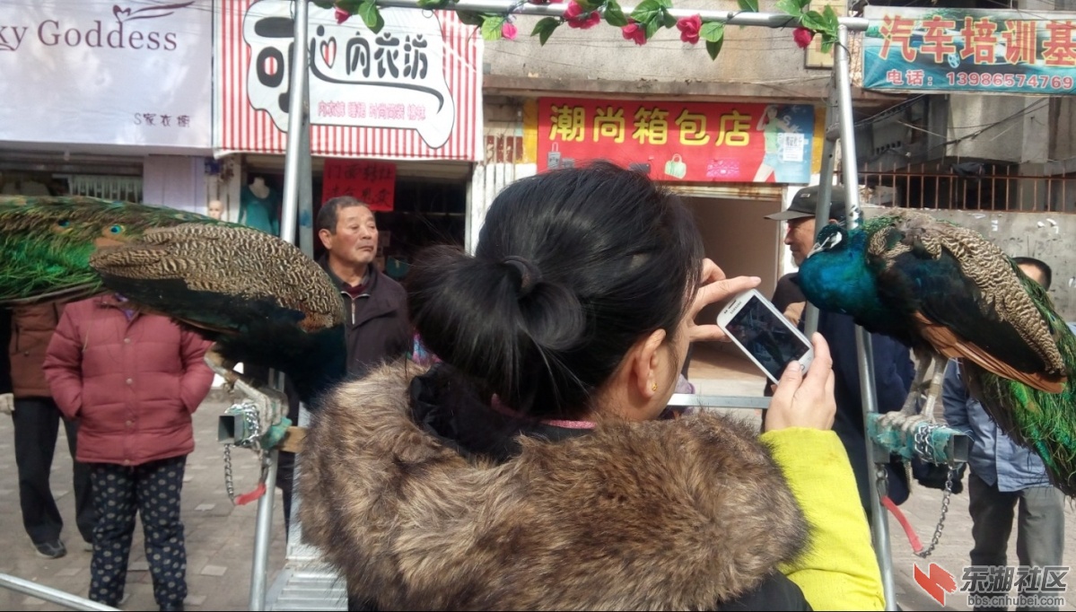 QQ图片20141218115823.jpg