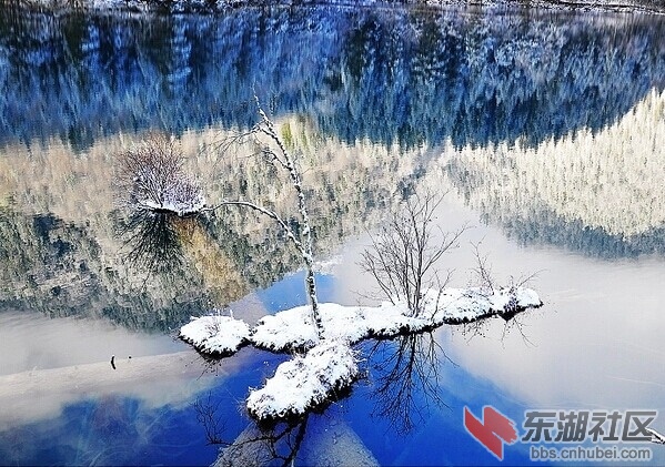 QQ图片20141218094419 - 副本.jpg