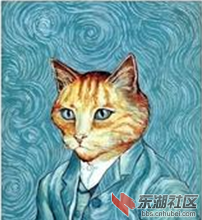 QQ截图20141219090011.png