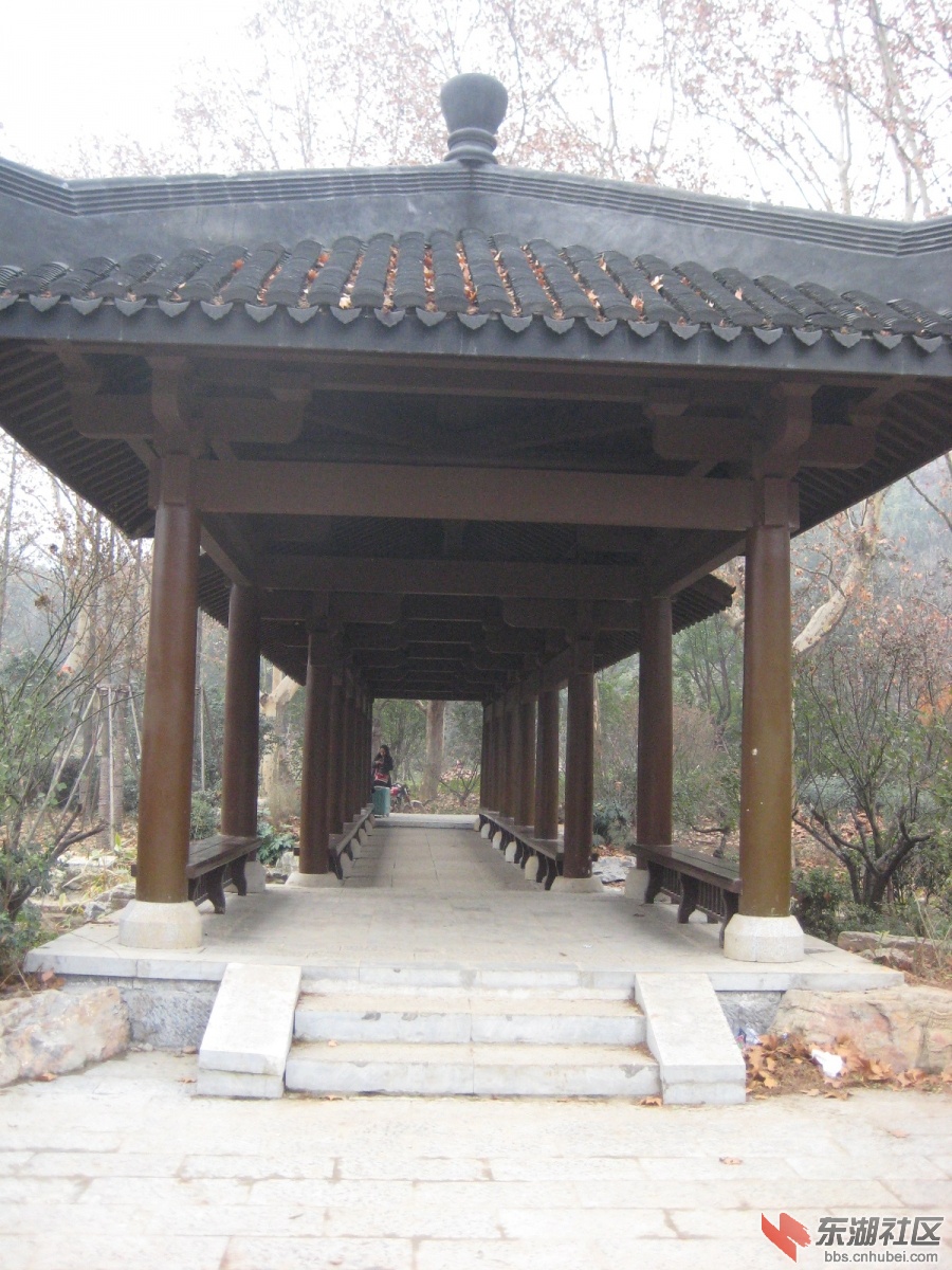 照片 006.jpg