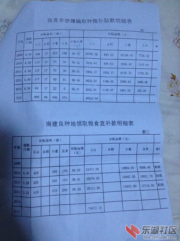 诈骗粮补明细表