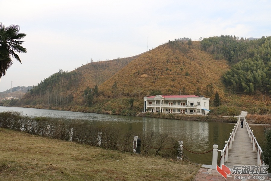 030.jpg