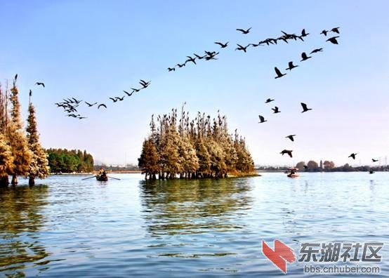 落雁景区.jpg