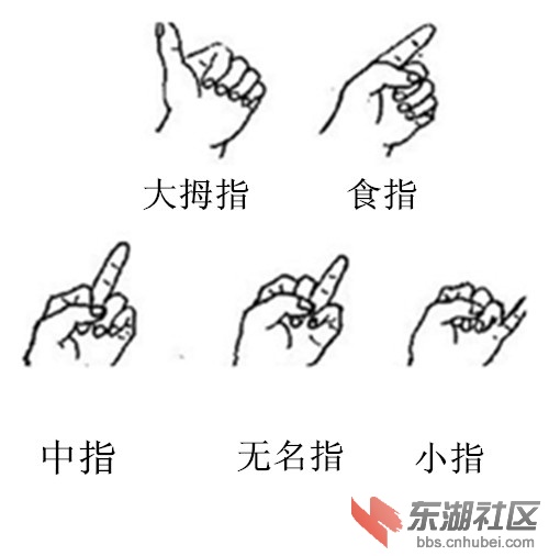 t01e7ef768f8660fe7c.jpg