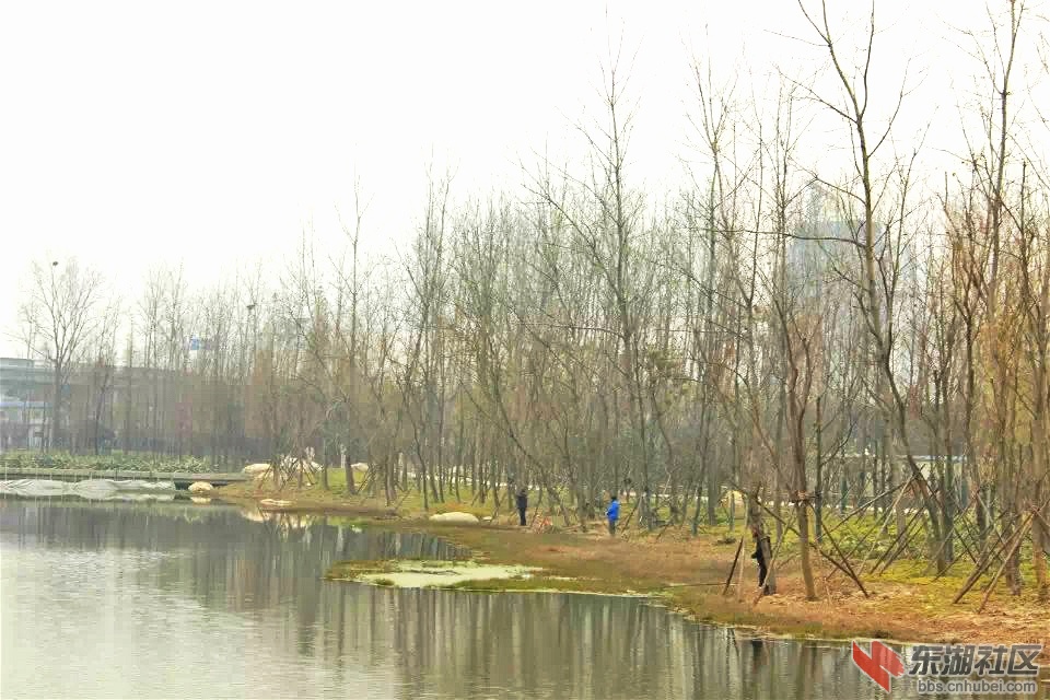 psb_meitu_2.jpg