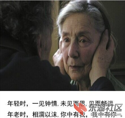 QQ截图20141227010041.png