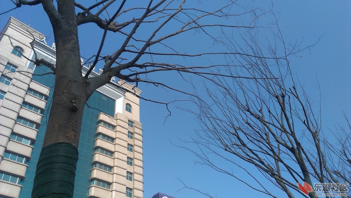 IMAG8450副本.jpg