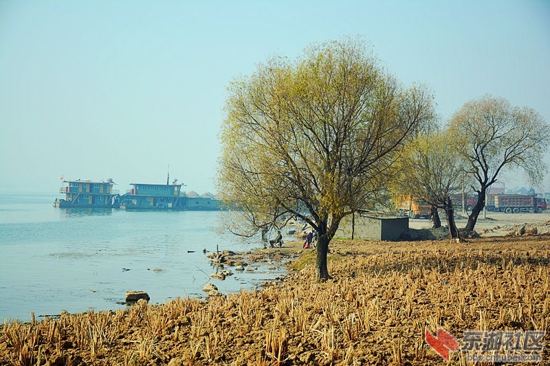 DSC_0781.jpg