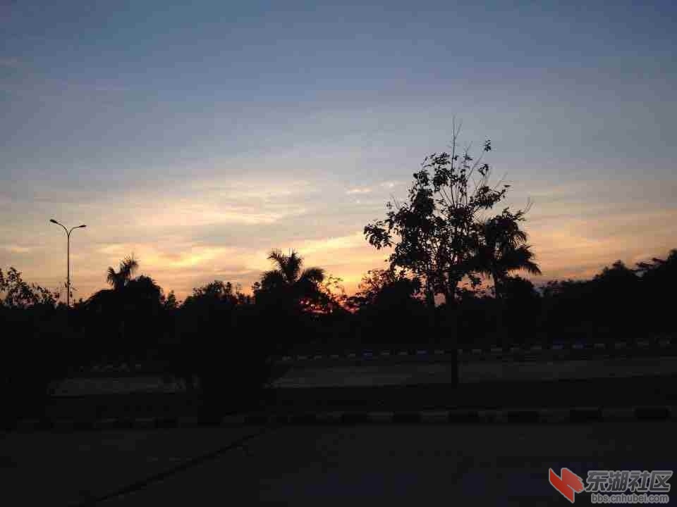 10142_24963046.jpg
