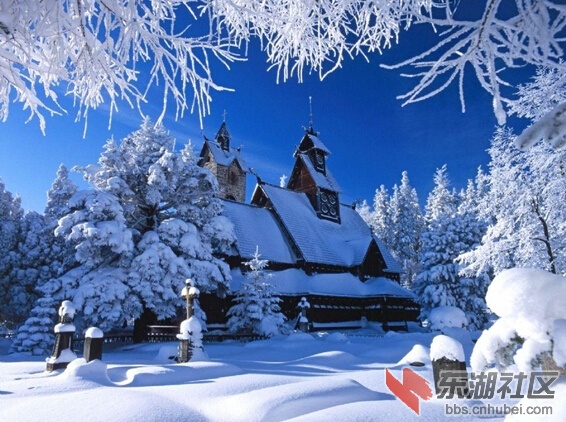 东北雪乡打雪仗.jpg