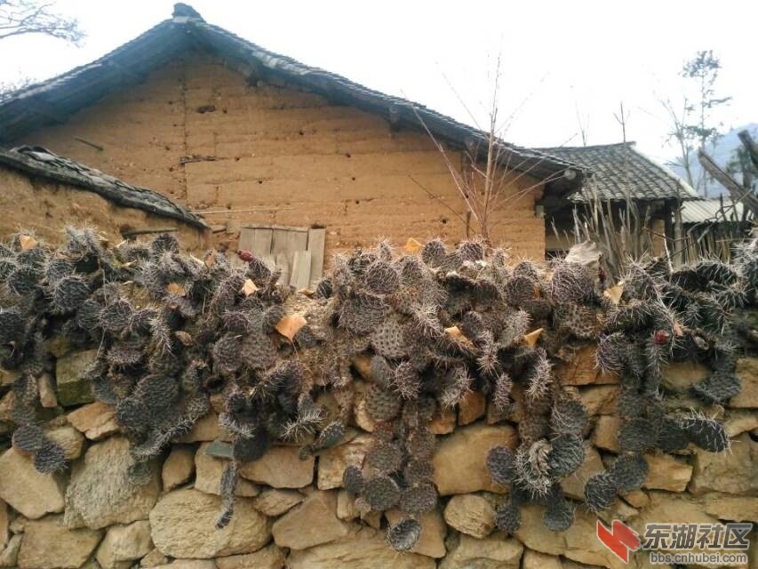 QQ图片20141229151009.jpg