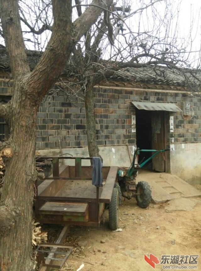 QQ图片20141229151108.jpg