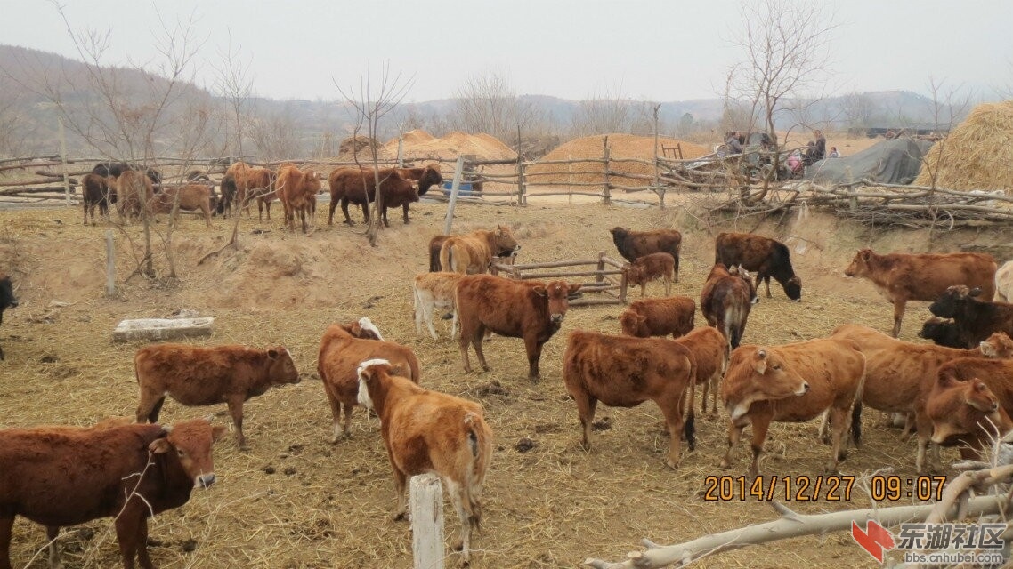 QQ图片20141229151130.jpg