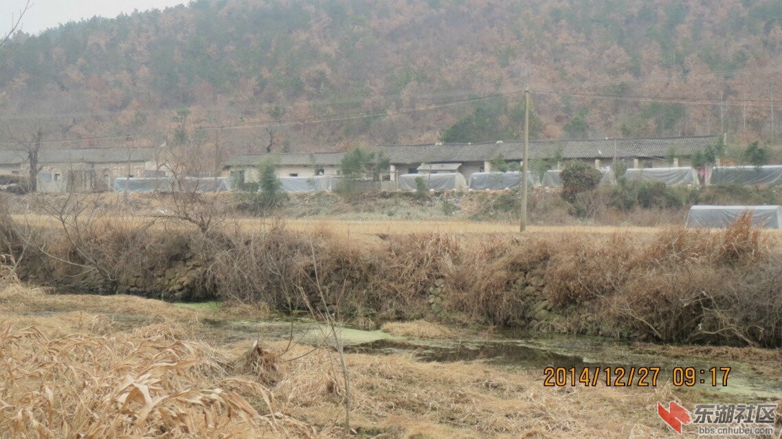 QQ图片20141229151151.jpg