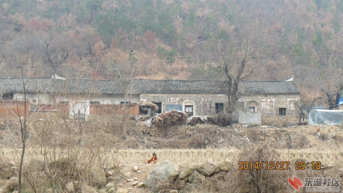 QQ图片20141229151200.jpg