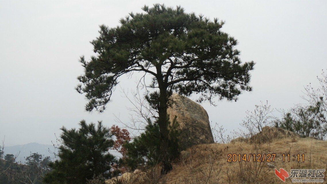QQ图片20141229151355.jpg