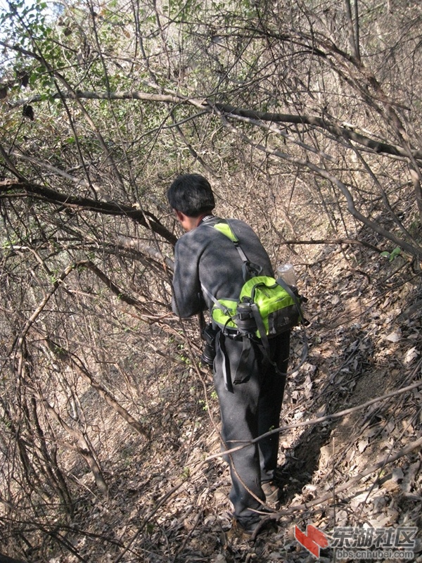 06.jpg