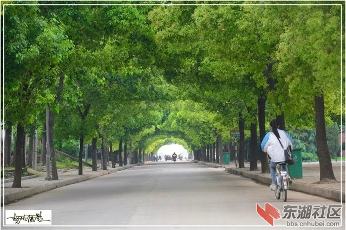 幸福路.jpg