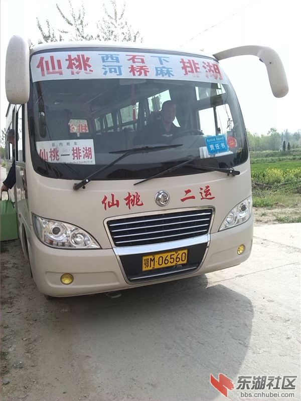 到西河、石桥、许坝的公交车