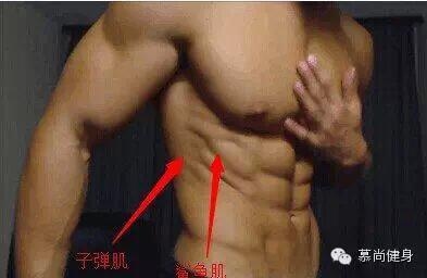 图片44.jpg
