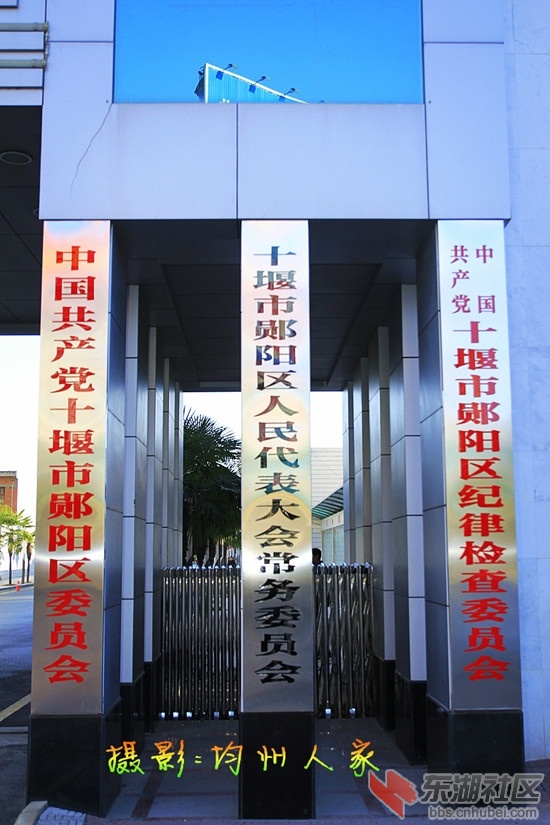 7735.jpg