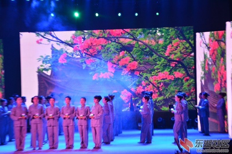 武穴市2015迎新年祈福晚会图片