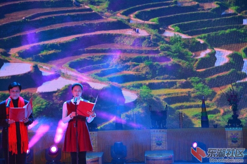 武穴市2015迎新年祈福晚会图片