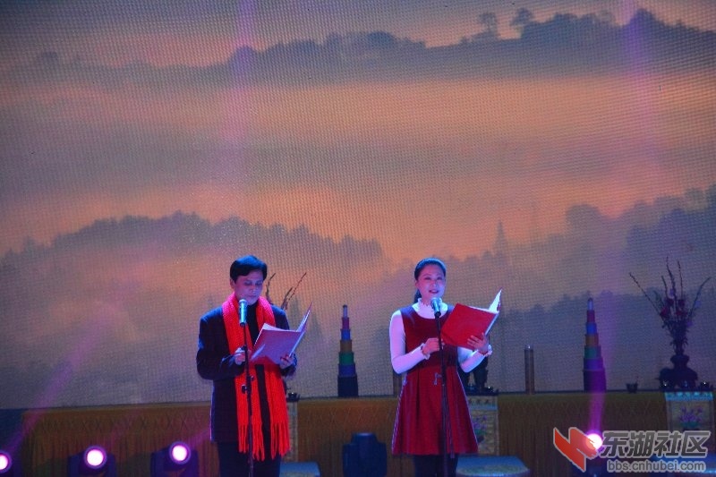 武穴市2015迎新年祈福晚会图片
