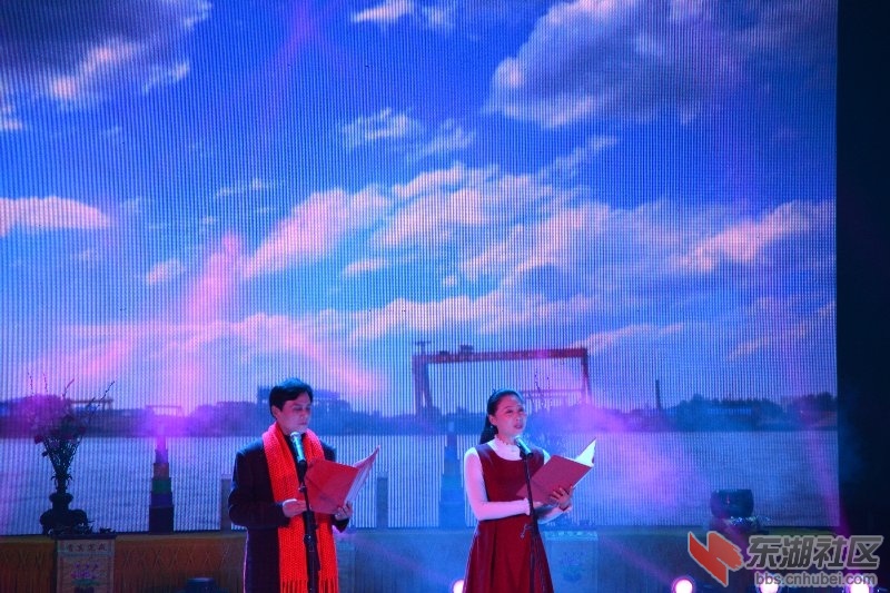 武穴市2015迎新年祈福晚会图片