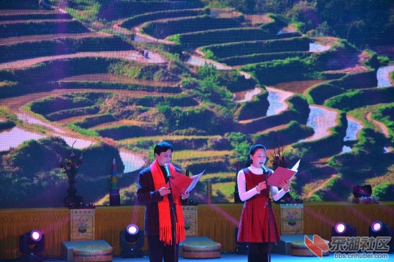 武穴市2015迎新年祈福晚会图片